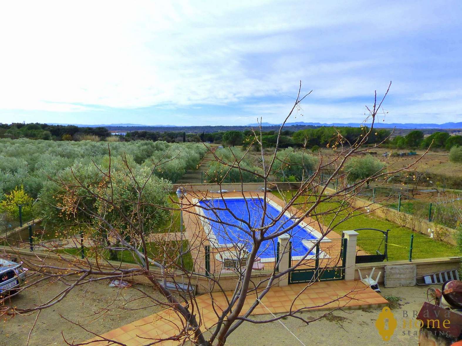 BONITA FINCA CON olivos EN VENTA EN GARRIGUELLA