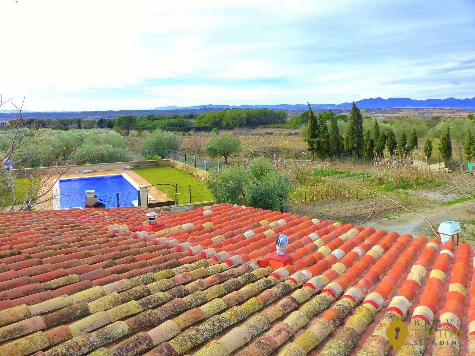 BONITA FINCA CON olivos EN VENTA EN GARRIGUELLA