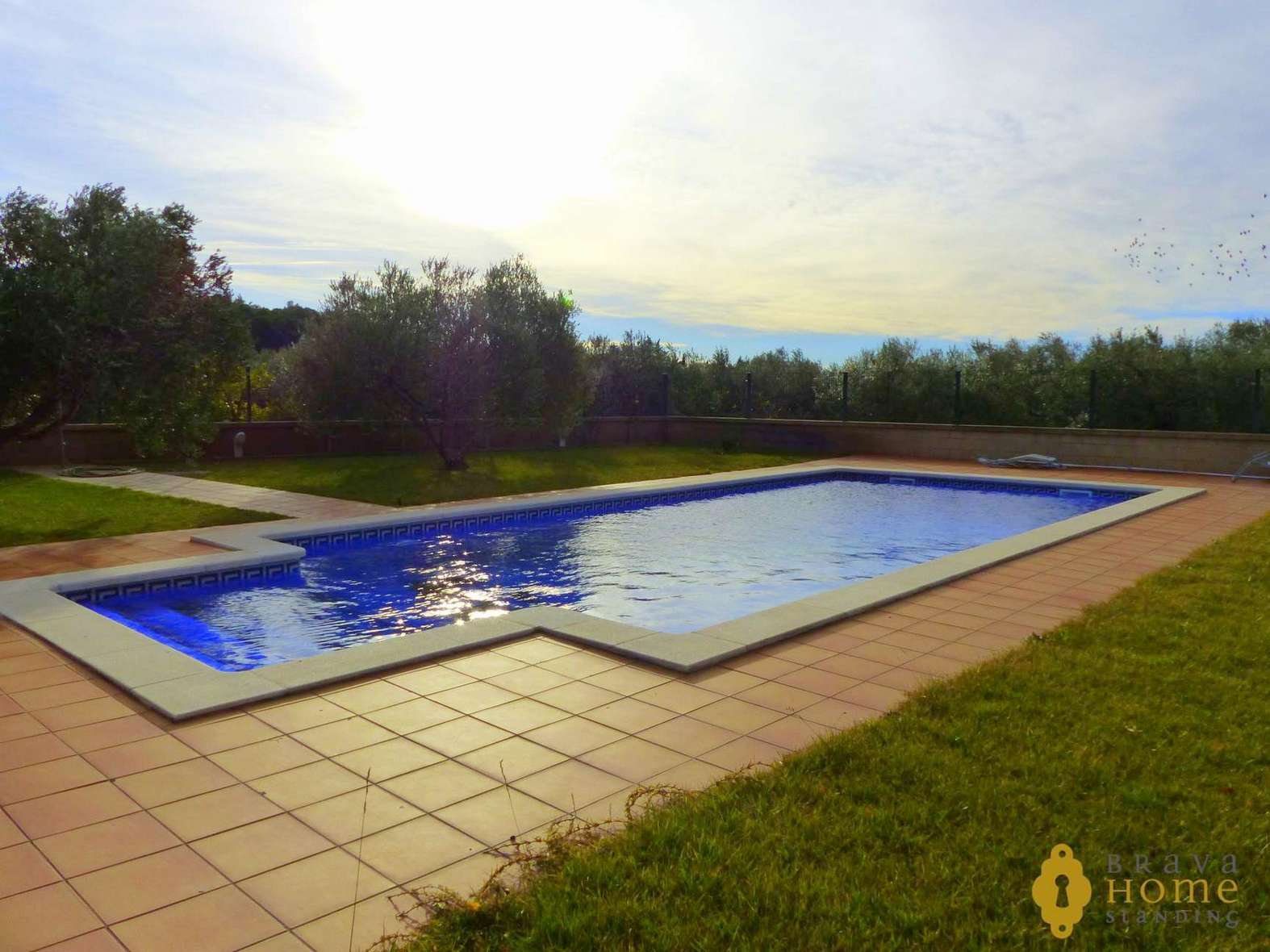 BONITA FINCA CON olivos EN VENTA EN GARRIGUELLA