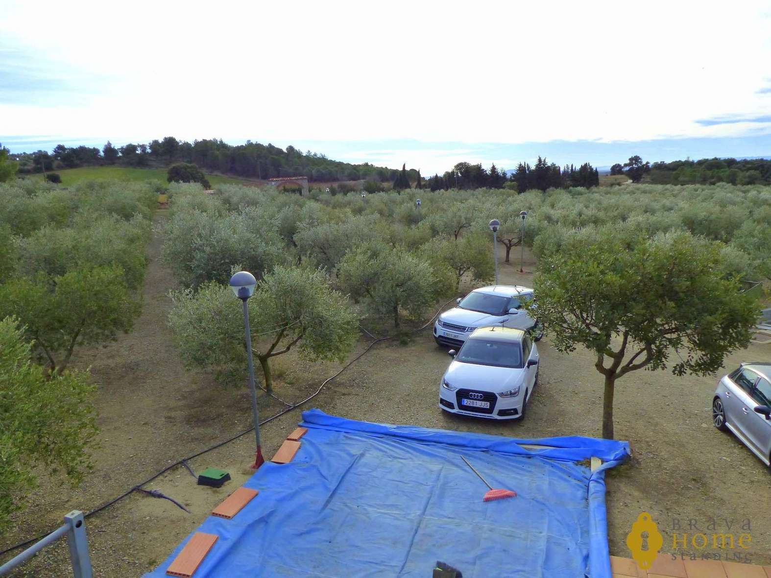 BONITA FINCA CON olivos EN VENTA EN GARRIGUELLA