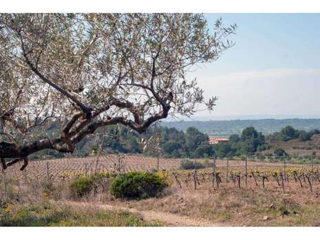 Obra nova a Garriguella 